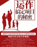 运作：搞定项目的秘密