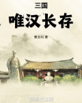 三国:唯汉长存!