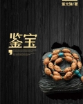 鉴宝