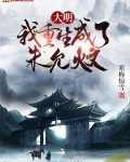 大明：我重生成了朱允炆