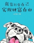我靠打赏自己实现财富自由