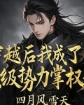 穿越后我成了顶级势力掌权人