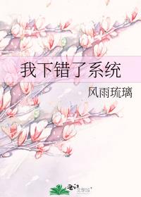我下错了系统