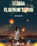 三国从孔雀东南飞开始