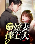 闪婚厚爱：娇妻捧上天