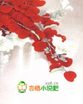 巧姻缘,暗王的绝色傻妃