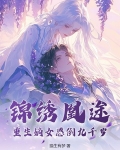 重生锦绣凰归