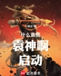 什么袁绍,袁神啊!启动!