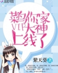 菜鸟你家VIP大神上线了