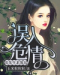 误入危情：沈先生求放过