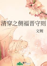 清穿之侧福晋守则