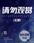 请勿观赏[无限]