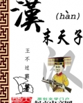 汉末天子