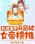 我，傻皇子，开局被女帝横推！