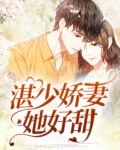 偏偏宠爱:湛少娇妻她好甜