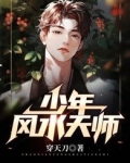 少年风水天师