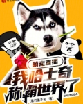 萌宠直播:我哈士奇称霸世界了?