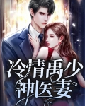 冷情禹少神医妻