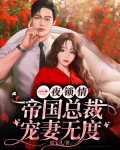 一夜锁情：帝国总裁宠妻无度