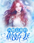 闪婚总裁的傲娇妻