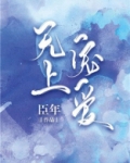 无上宠爱