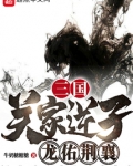 三国:关家逆子,龙佑荆襄