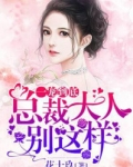 一宠到底:总裁大人,别这样!