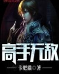 高手无敌