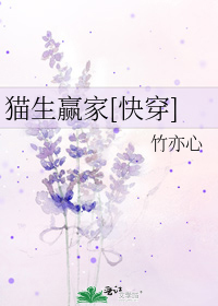 猫生赢家[快穿]