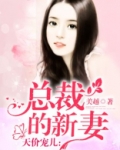 总裁的新妻