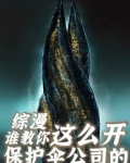 保护伞公司 小说