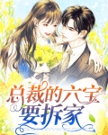 总裁的六宝要拆家