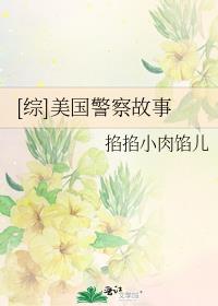[综]美国警察故事