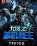 无限之单机霸主