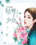 宠婚如戏:陆少,够了没