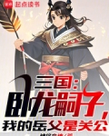 家父诸葛亮,我打造了千年大汉