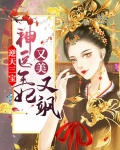 逆天三宝:神医王妃又美又飒