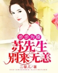 步步为婚：苏先生别来无恙