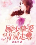 盛宠蜜婚,顾少挚爱请别走