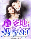 护夫狂妻:爹地,妈咪A炸了!