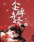 金牌弃婿