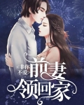 非你不爱：前妻领回家