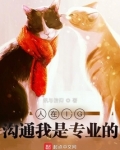 人在IG,沟通我是专业的