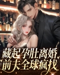 藏起孕肚离婚，前夫全球疯找