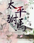 太平驸马