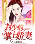封少的掌上娇妻