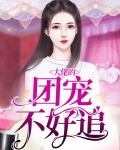 大佬的团宠不好追