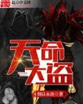 天命大盗