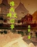 豫西风云