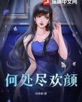何处尽欢颜 小说